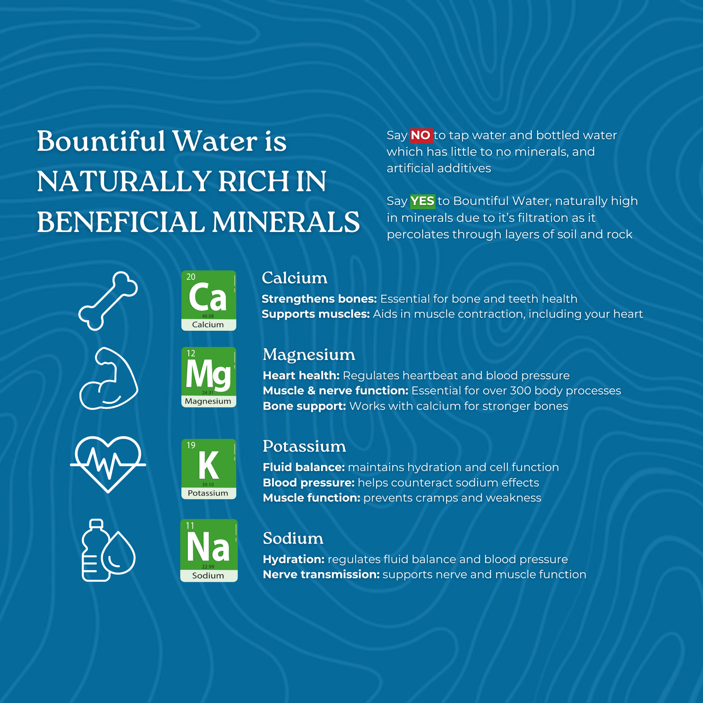 Bountiful Water | Water Delivery Gold Coast & Northern Rivers